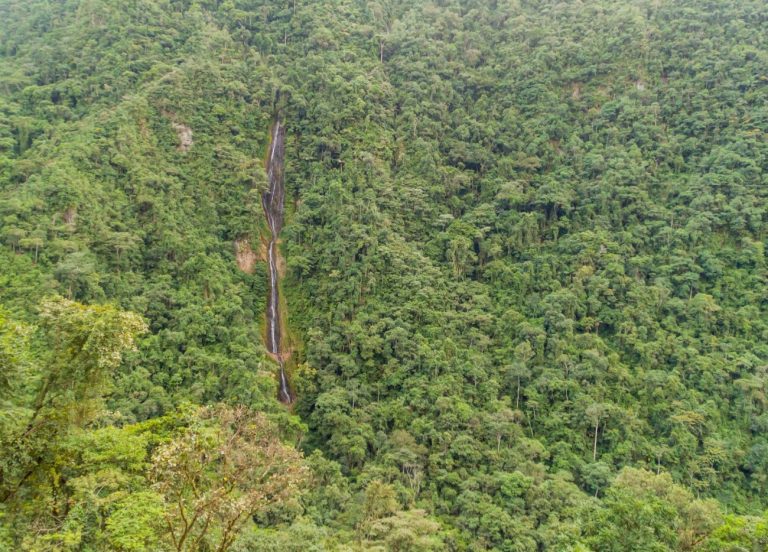 Coroico : Explorez les Randonnées de la Mort…