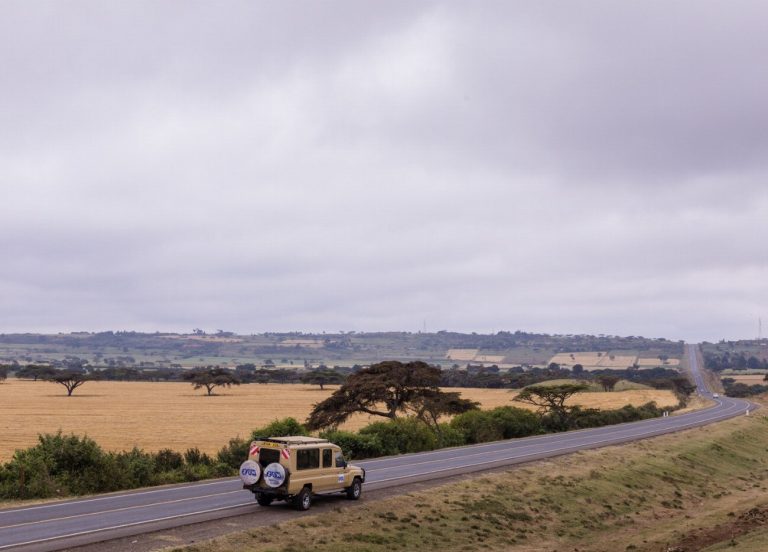 Découvrez la magie sauvage de Nairobi : Vivez…