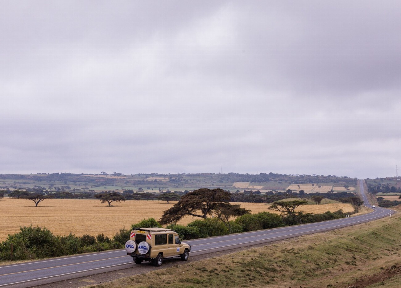 Découvrez la magie sauvage de Nairobi : Vivez un safari…