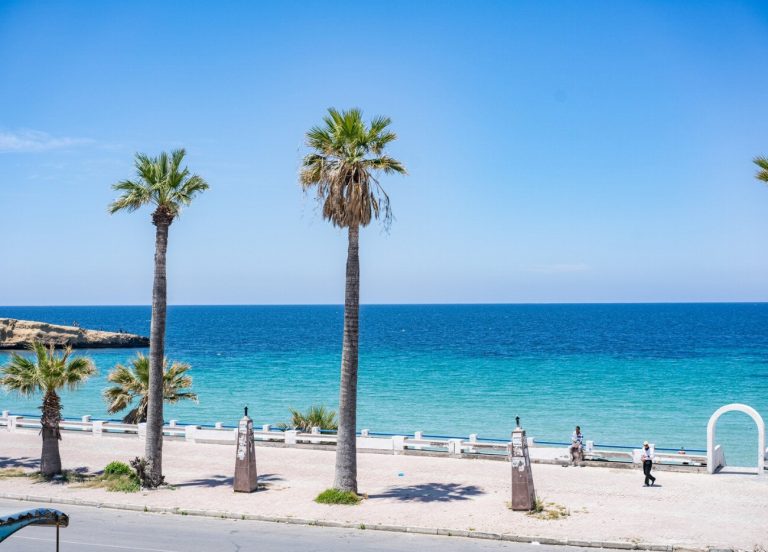 Découvrez la merveille cachée de Tunis : La…