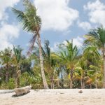 Découvrez le joyau caché de Zanzibar : Le phare de Nungwi vous transporte dans un paradis tropical !