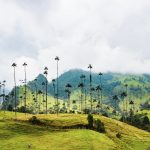 Découvrez le meilleur moment pour partir en Colombie et plongez dans une aventure inoubliable !