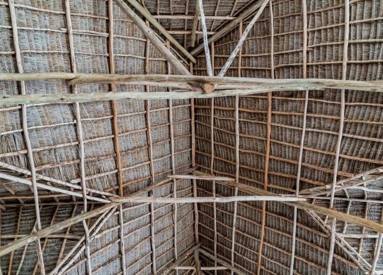 Découvrez le paradis caché de Nungwi : le…