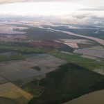 Découvrez le paradis culinaire de Porto Alegre : une escapade gourmande au cœur de la cuisine Gaúcha et des parcs tranquilles !