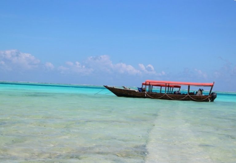 Découvrez le paradis exotique : le meilleur moment…