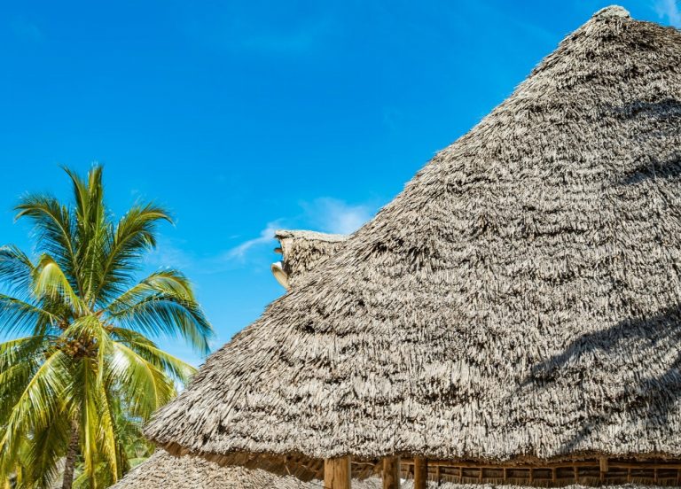 Découvrez le paradis sur Terre : Nungwi et…