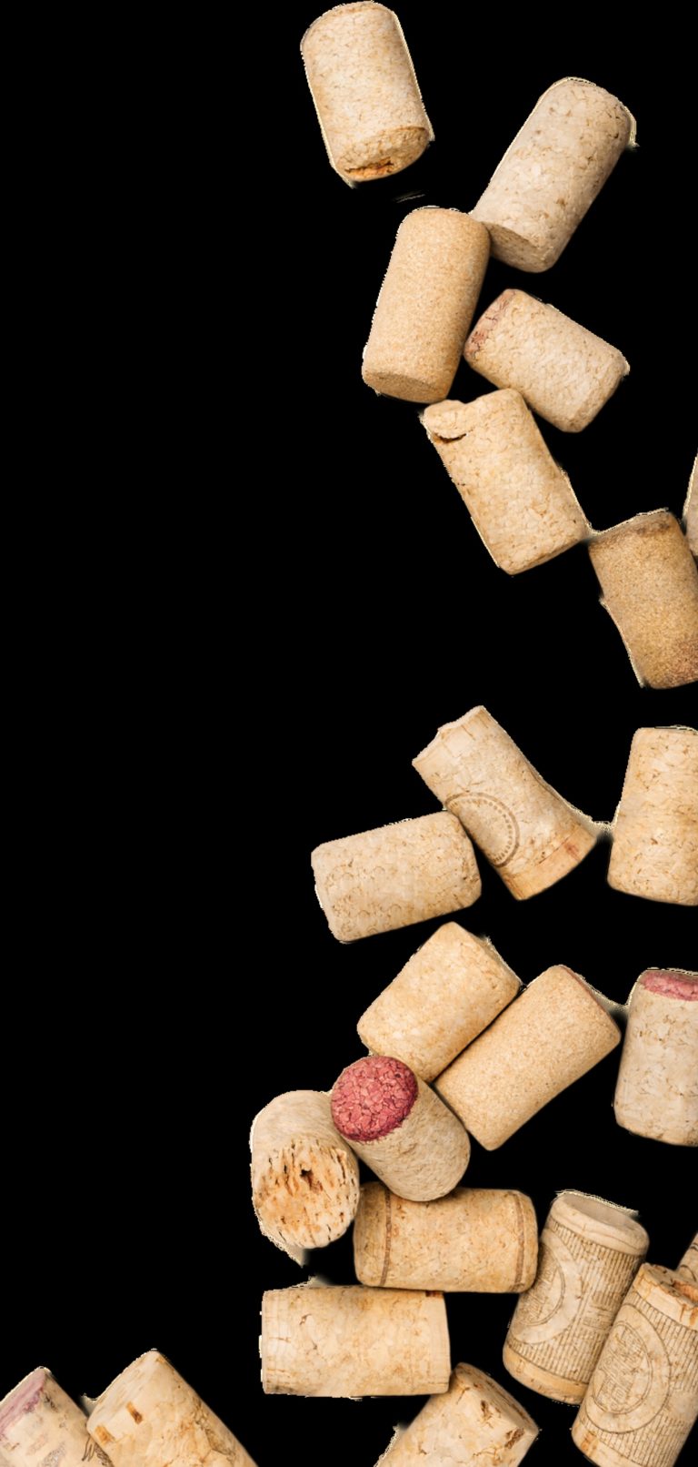 Découvrez les Falaises de Moher : la randonnée…