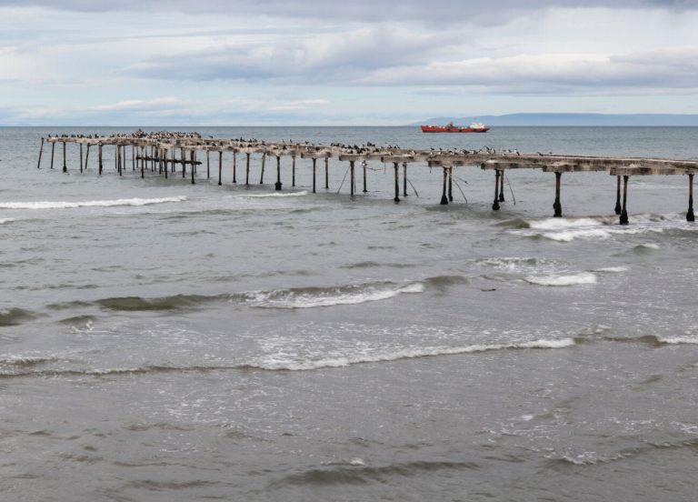 Découvrez les secrets de Punta Arenas : Un…