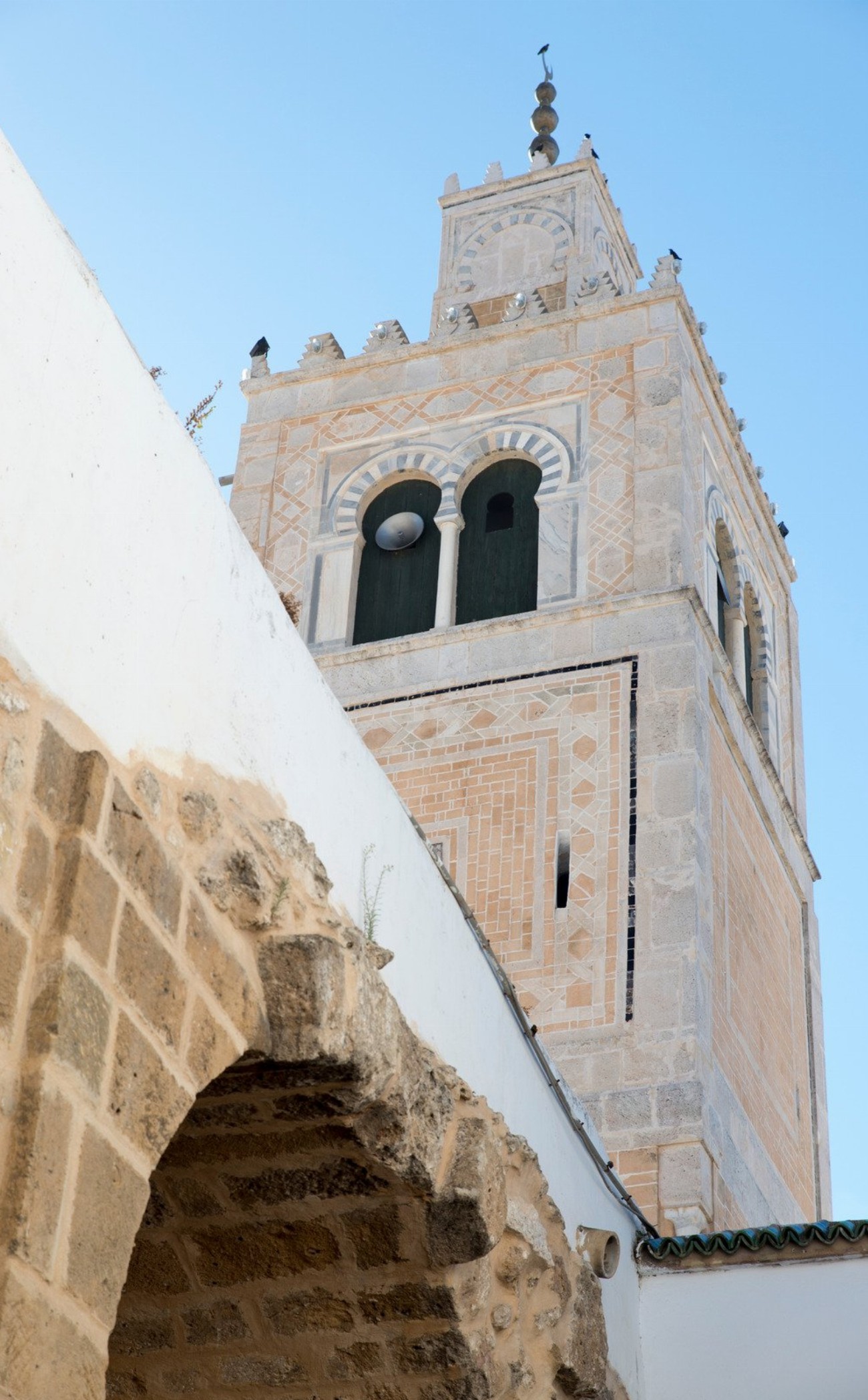Découvrez les trésors cachés du musée du Bardo à Tunis…