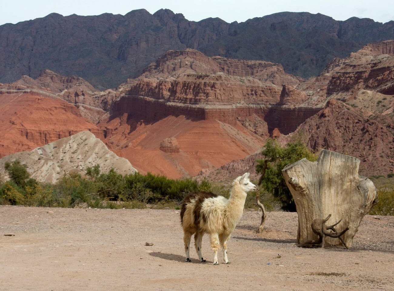 Découvrez Salta, la destination idéale pour un voyage inoubliable :…