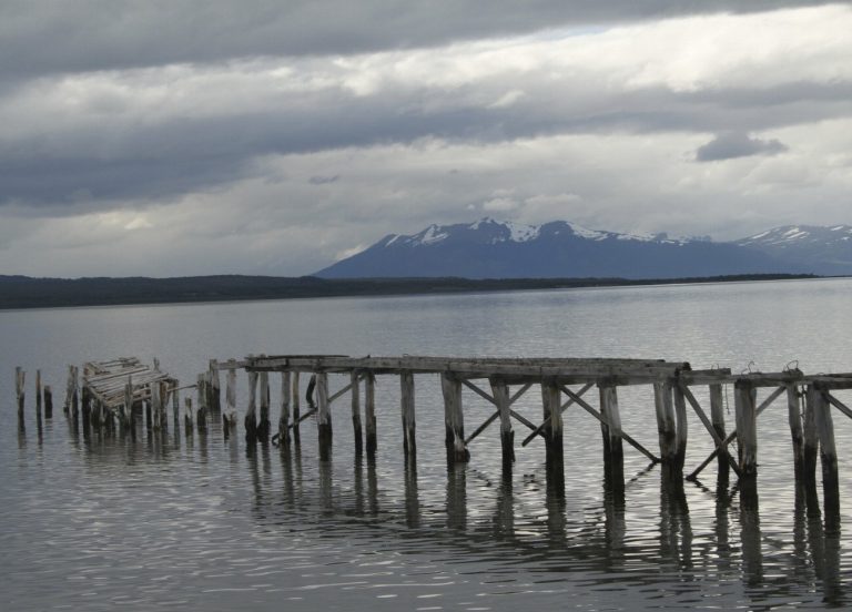 Exploitez tous vos sens à Puerto Natales :…