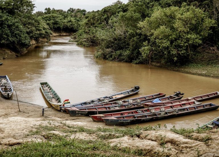 Explorez l’Amazonie bolivienne à Rurrenabaque : une aventure…