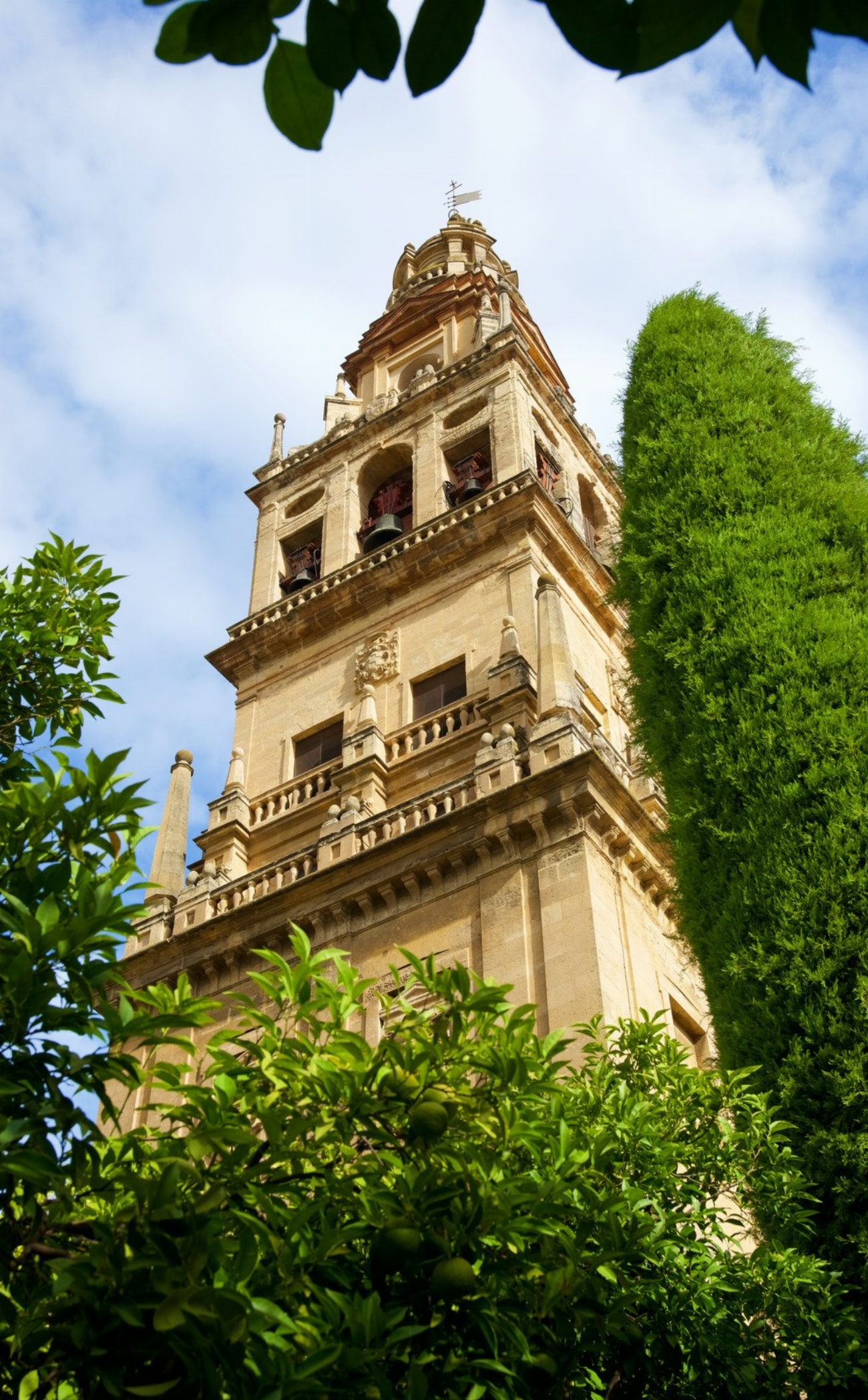 Explorez le charme envoûtant de Córdoba : des universités historiques…