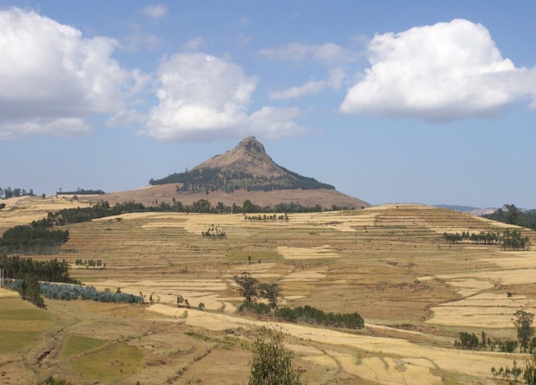 Explorez les paysages époustouflants des montagnes Simien à…
