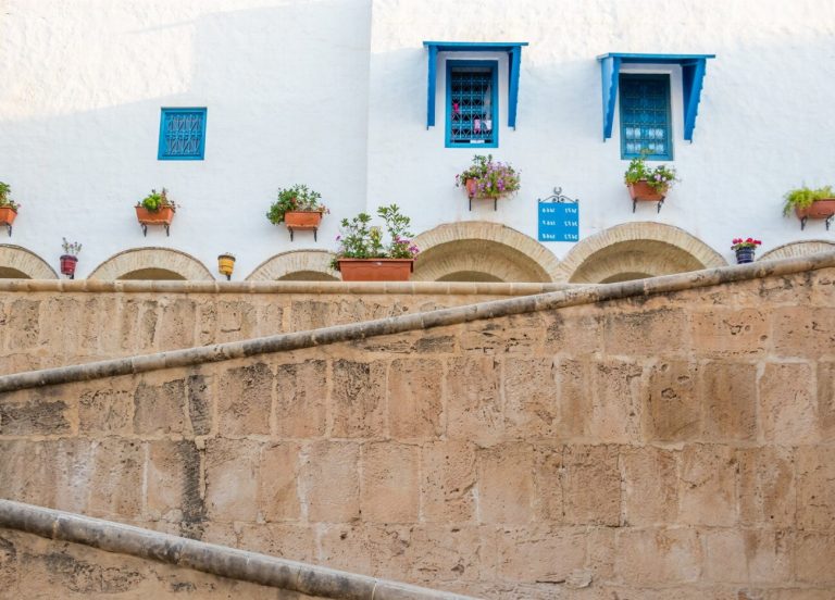 Hammamet : Le festival international qui fait vibrer…