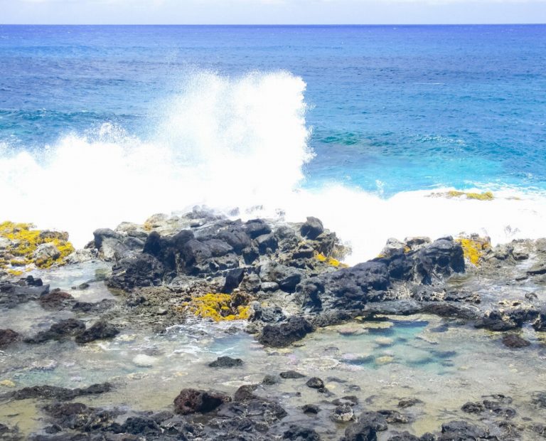 Île de Pâques : Découvrez le mystère ancestral…