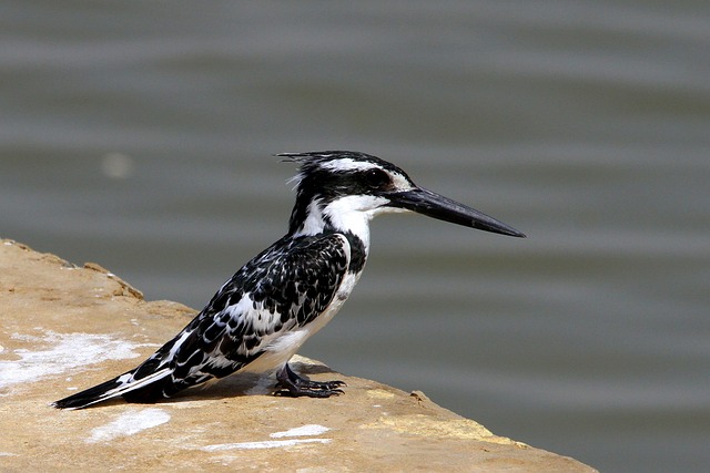 Découvrez les merveilles naturelles du pays