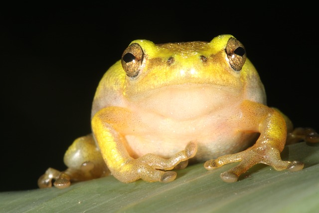 Découvrez l'histoire fascinante du phare d'Umhlanga Rocks