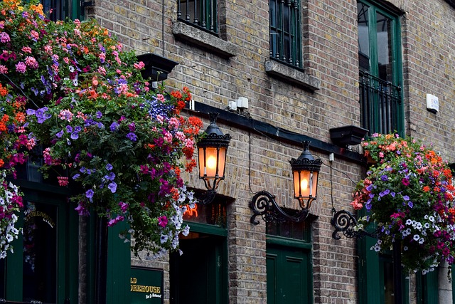 Les meilleurs pubs et bars du Temple Bar