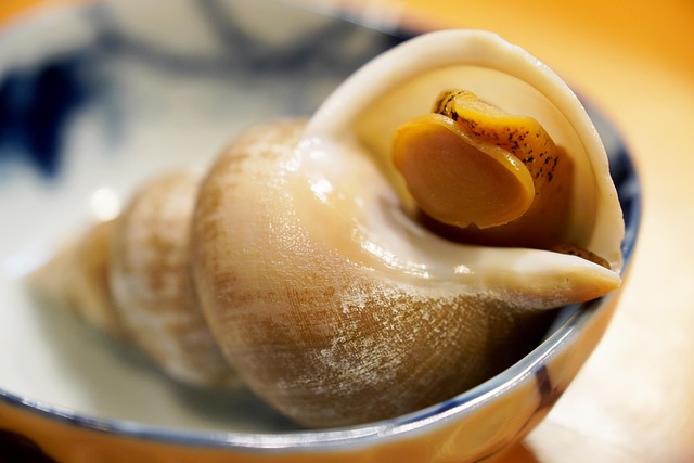 Découvrez les plages paradisiaques de Búzios
