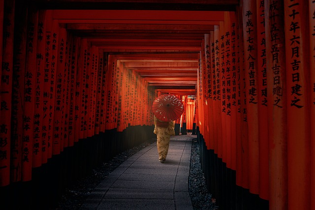 Découverte de la Forêt de Bambous d'Arashiyama