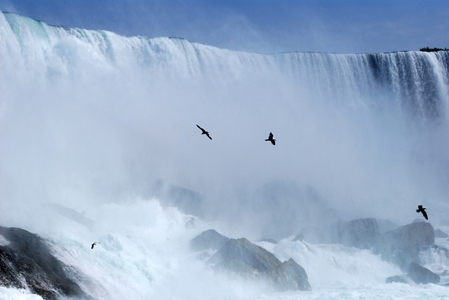 Les chutes canadiennes : une expérience inoubliable