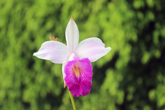 Les meilleurs endroits pour danser la salsa à Cali