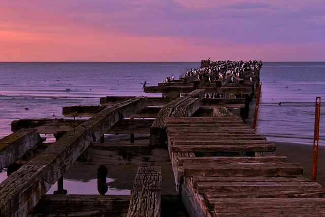 L'histoire extrême de Punta Arenas : entre conquêtes et explorations