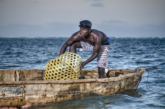 Découvrez les richesses de la réserve marine de Mombasa