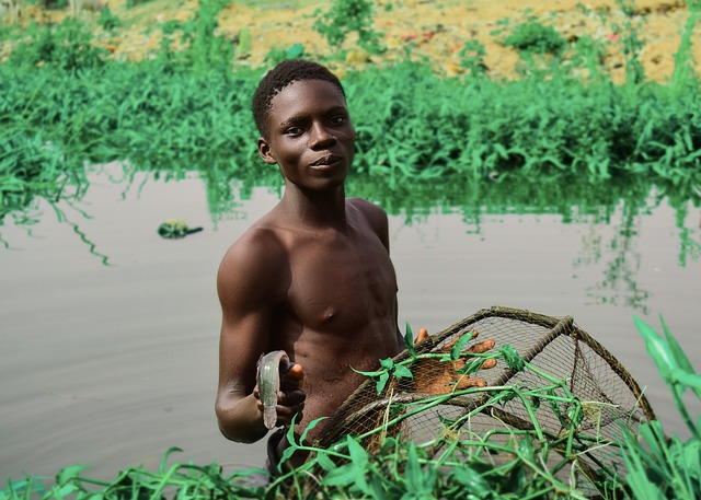 Le festival d'Abuja : une immersion culturelle exceptionnelle