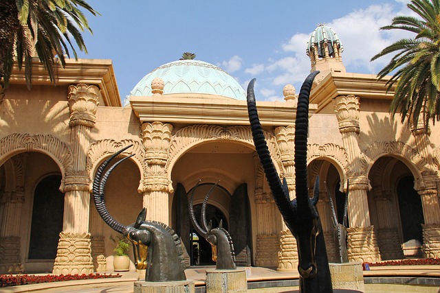 Rencontrez les majestueux lions du parc