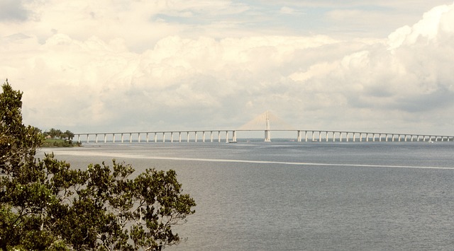 Découvrez Manaus, la porte d'entrée de l'Amazonie brésilienne