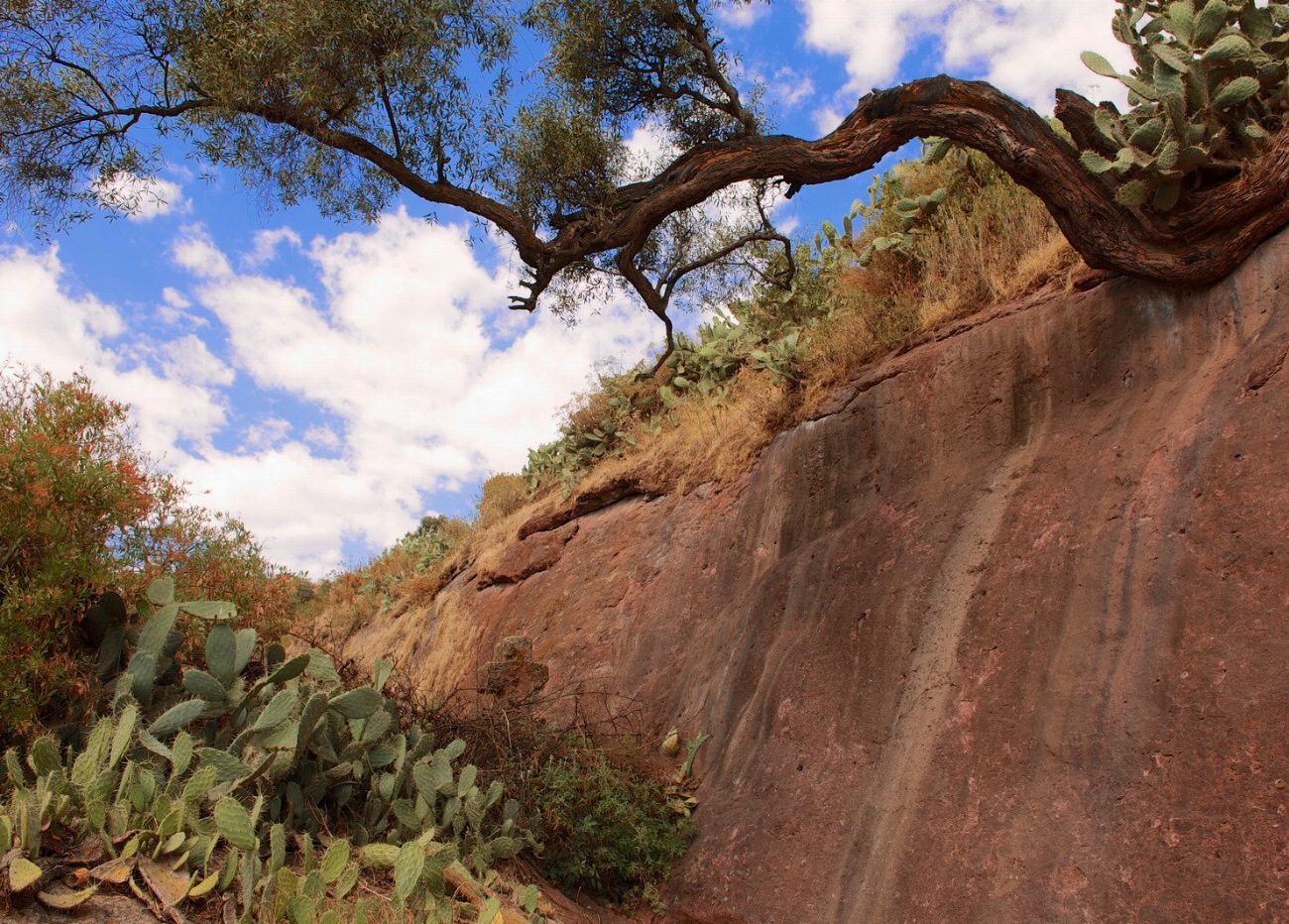 Lalibela : Découvrez les merveilles cachées des montagnes du Lasta…
