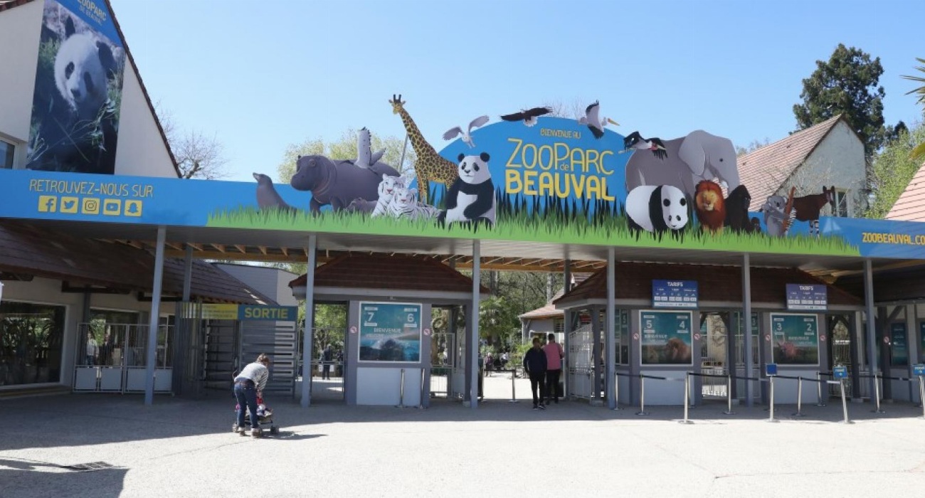 Le Zoo de Beauval : Quelles sont les espèces les…