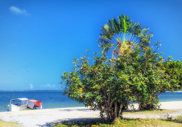 Mont Passot à Nosy Be : Un panorama…