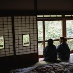 Ne partez surtout pas à Tokyo sans cet adaptateur prise japon !
