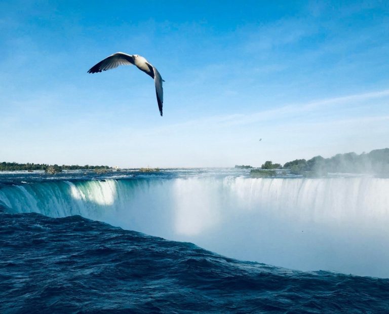 Niagara Falls : Découvrez les Chutes les Plus…