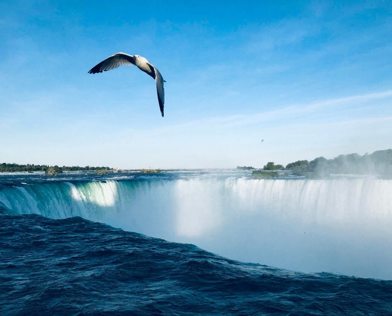 Niagara Falls : Découvrez les Chutes les Plus Spectaculaires au…