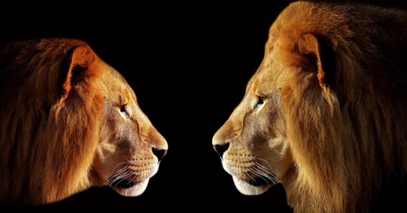 Qu’est-ce qui rend le parc zoologique de Fitilieu si fascinant…