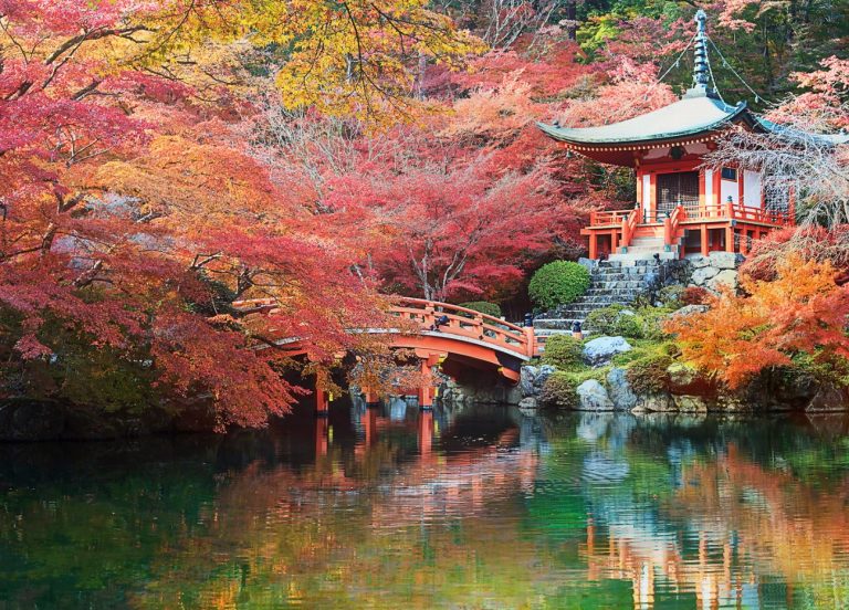 Révélez la magie nocturne du Festival des Lumières…