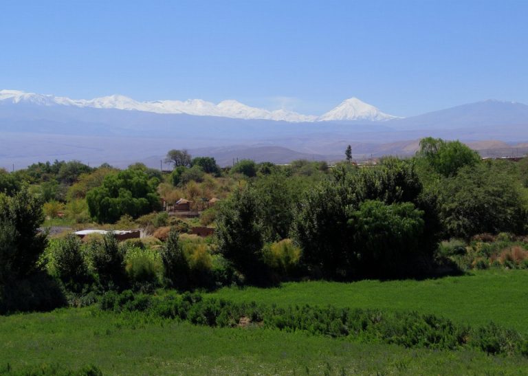 San Pedro de Atacama : Une expérience céleste…