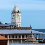 Stone Town : Nagez avec les dauphins et vivez une expérience inoubliable !