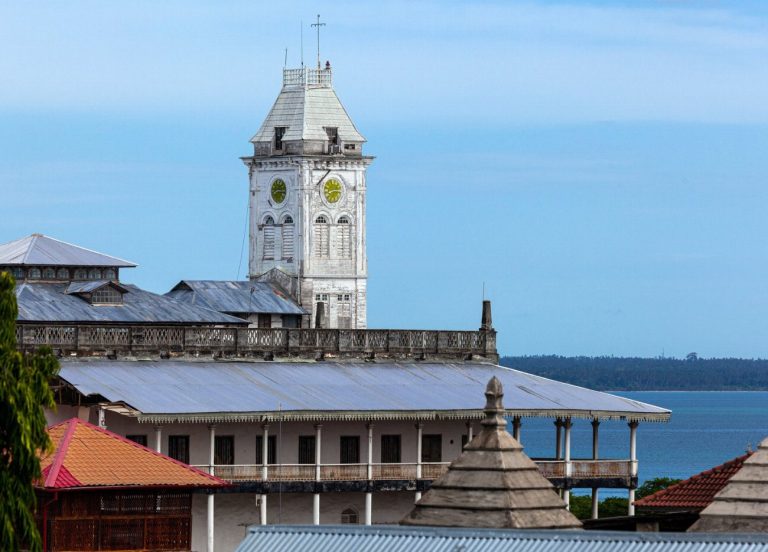 Stone Town : Nagez avec les dauphins et…